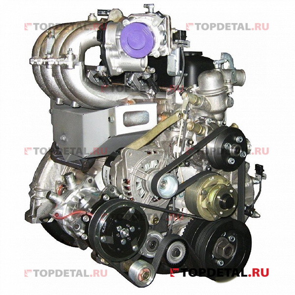 Двигатель УМЗ-4216 АИ-92 Г-3302(Бизнес) Евро-4 (поликлин.ремень, гидрокомпенсаторы)(гарантия 6 мес.)