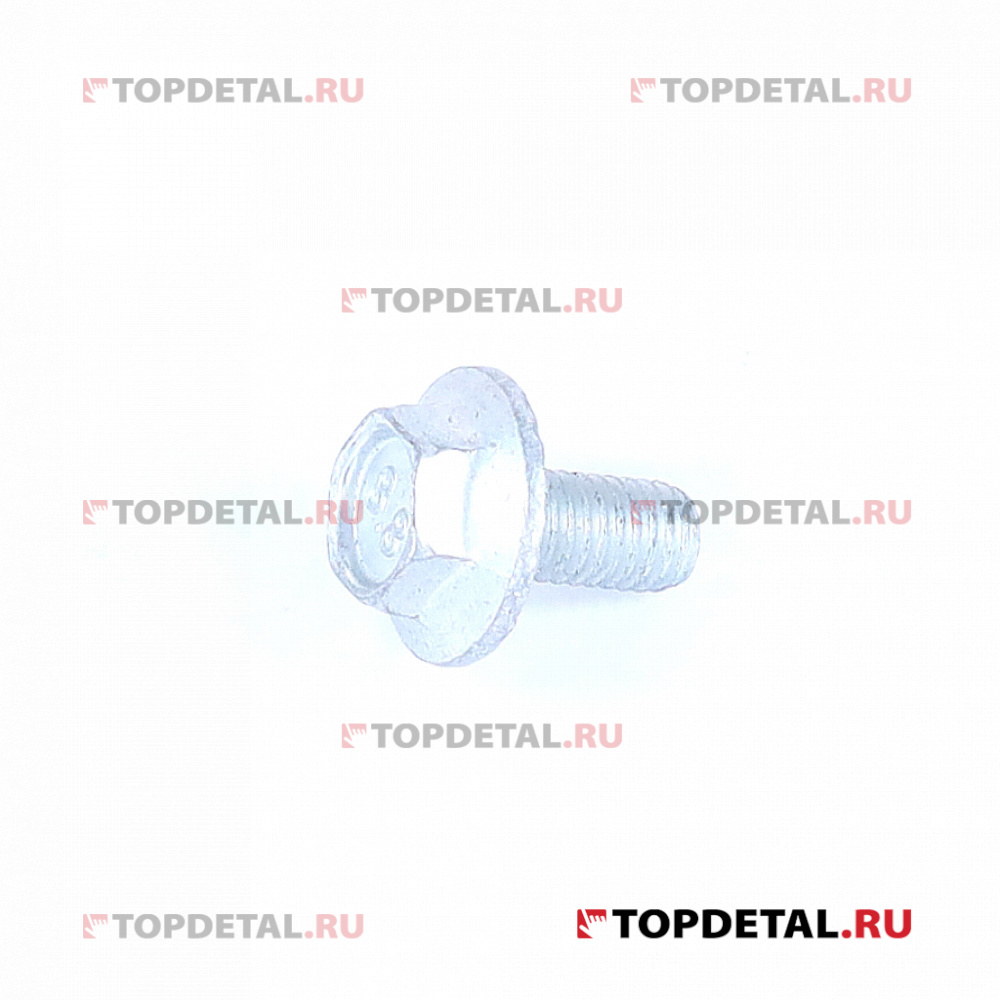 Болт М5х10 с зубчатой кромкой БелЗан