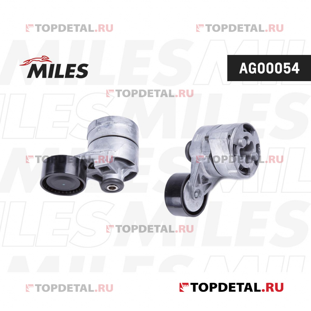 Натяжитель ремня приводного FORD TRANSIT 2.4D/3.2D 06-