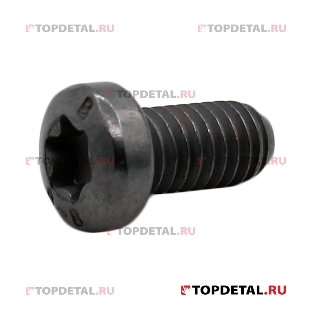 Болт М6X100-12 RENAULT 7703007154 купить в интернет-магазине Topdetal.ru