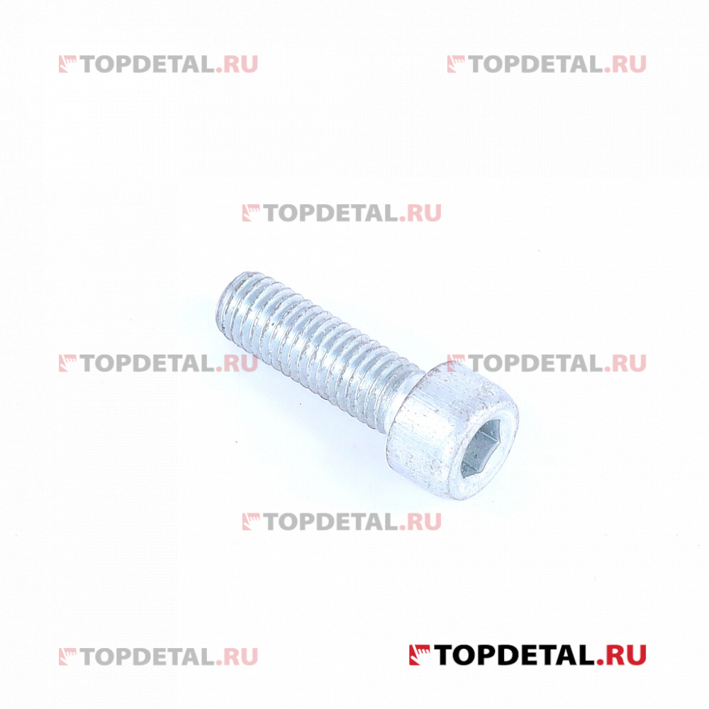 Болт крышки фиксаторов КПП ВАЗ-2101-2172 (Белзан)