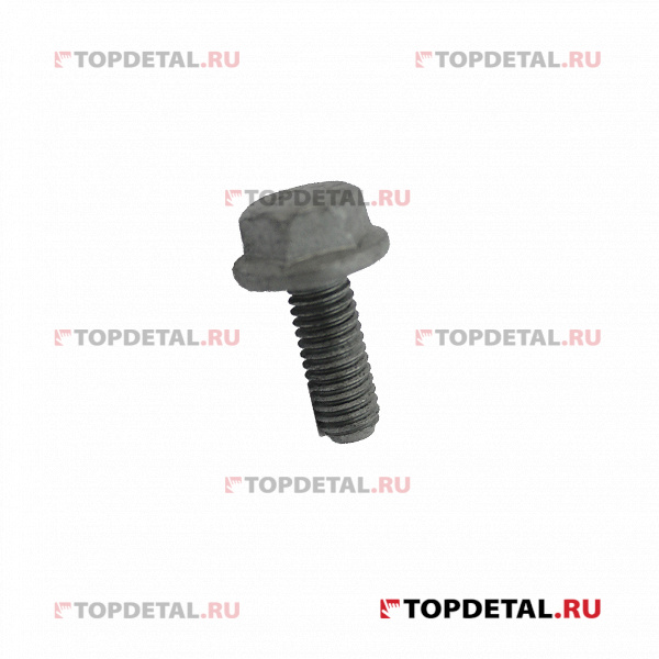 Болт М6 RENAULT