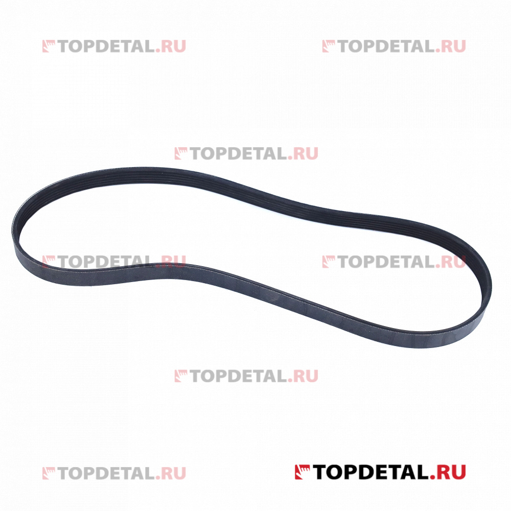 Ремень 6РК1024 генератора Ford Focus 1/2  1.4/1.6 16v (БРТ) 1354254РУ