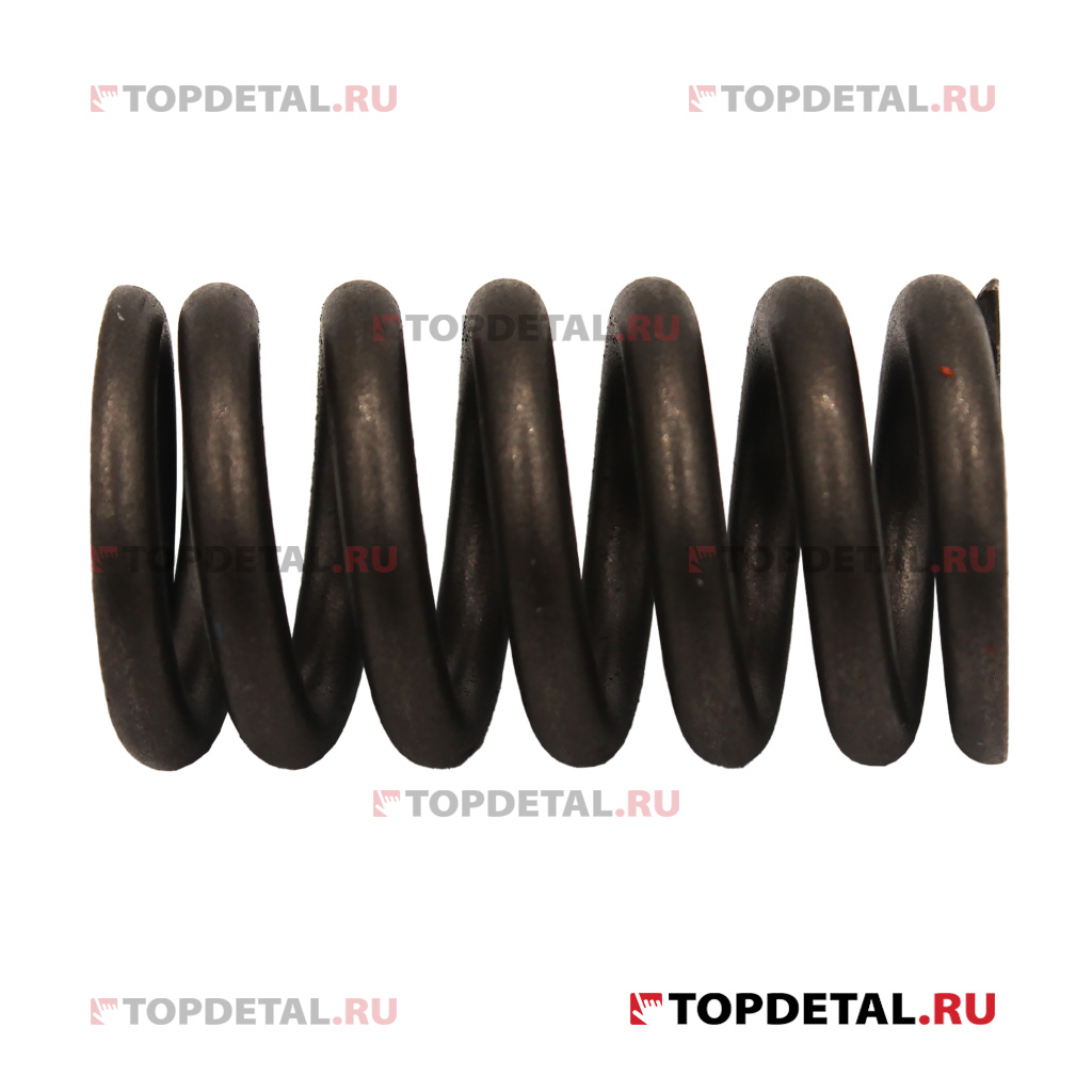 Пружина компенсатора распредвала RENAULT