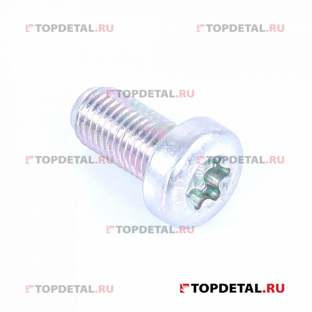 Винт крепления петли к двери Г-3302 Бизнес (270263000) Бултен рус