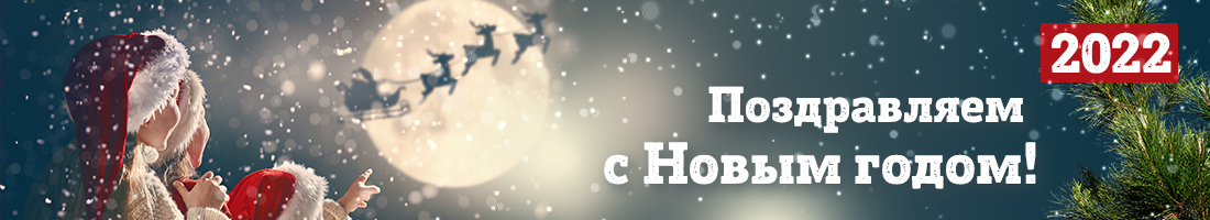 ✧ С Наступающим Новым годом и Рождеством! ✧