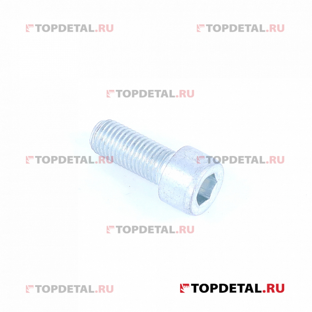 Винт М10х1,25х25 КАМАЗ электромагнитной муфты (АО БелЗАН г. Белебей)