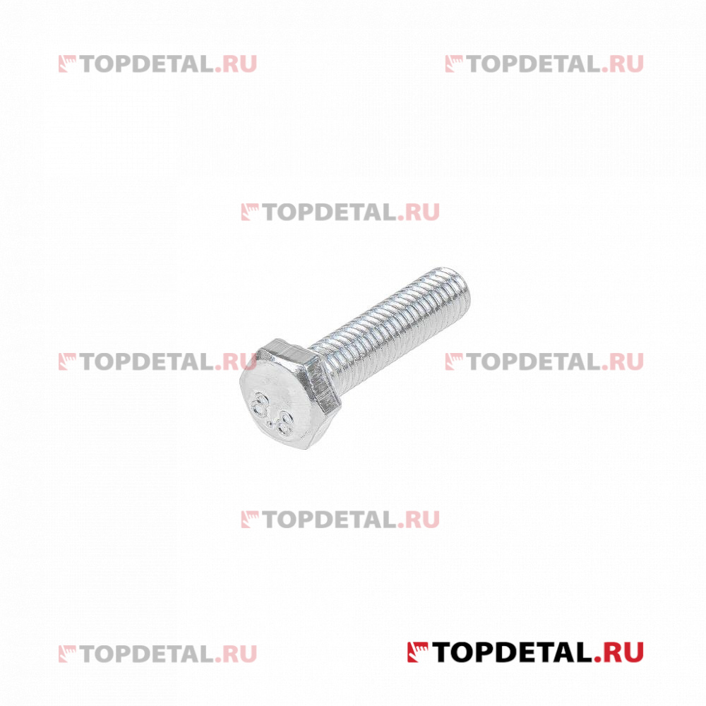 Болт M6x25 (00001-000902621)  GANZ GUM05017