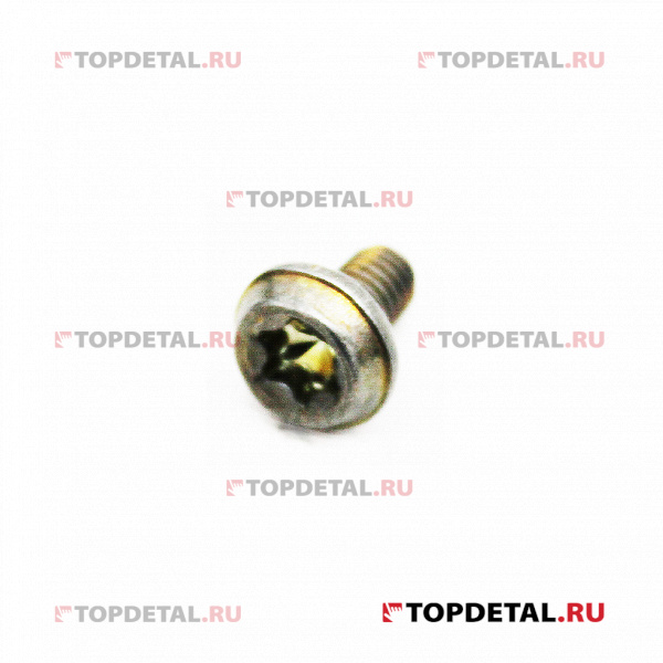 Винт крепления модуля электробензонасоса Г-3302,2123 Next 270503300
