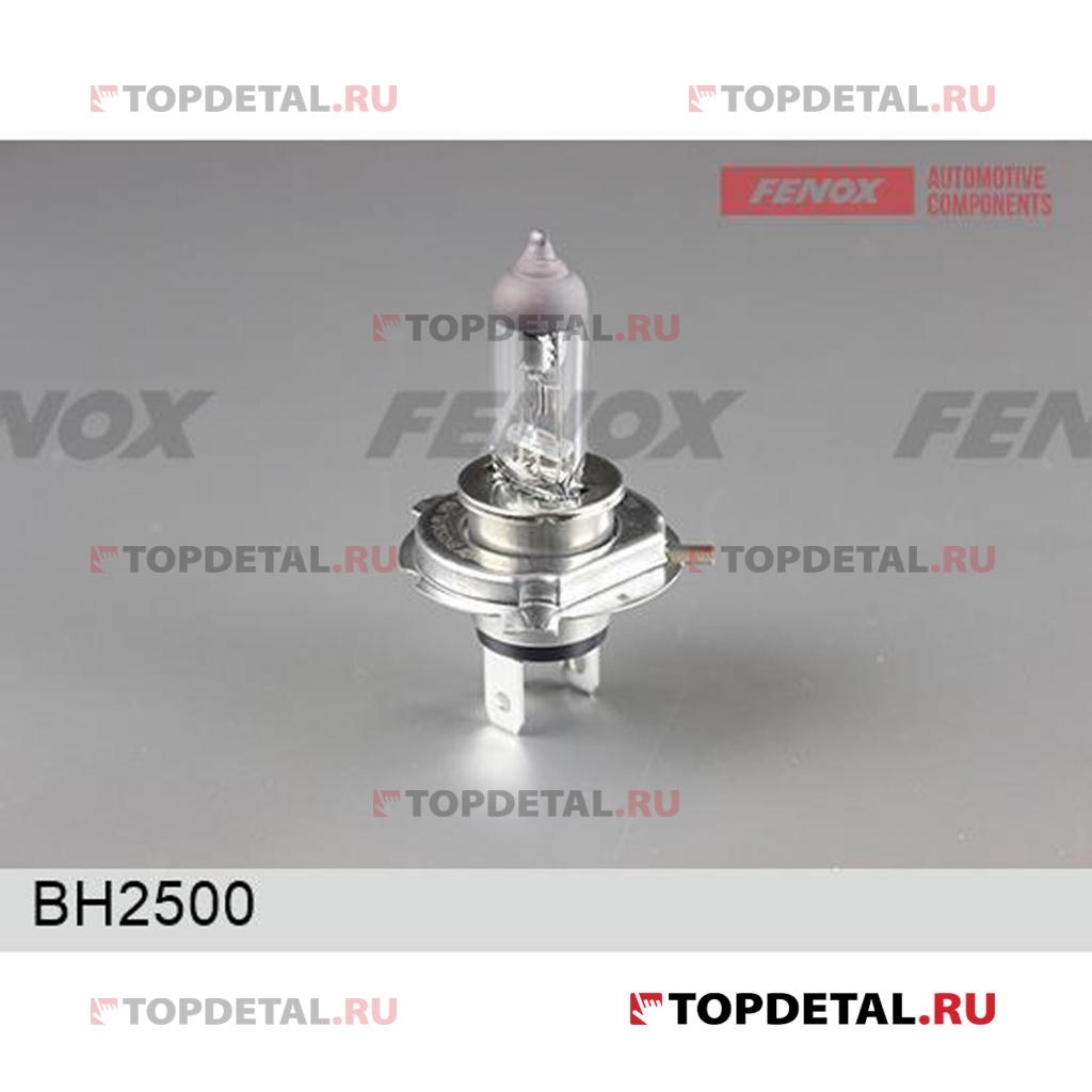 Лампа галогенная H19 12V 60/55W PU43t-3