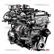 Двигатель 4061 АИ-76 Г-3302 (карбюраторный)